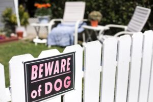 Dog Bite Liability in Denver, Massachusetts area
