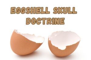 Eggshell Skull Doctrine